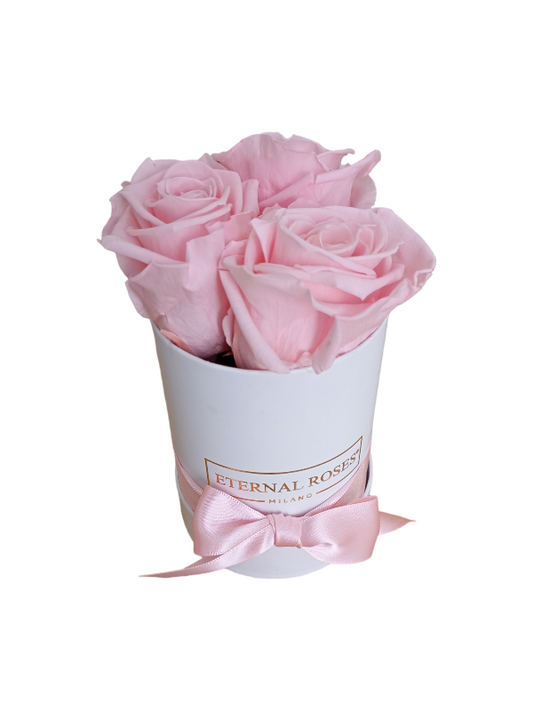 Box Bianco S - Rose Stabilizzate Rosa