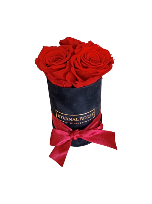 Box Luxury Nero S - Rose Stabilizzate Rosse