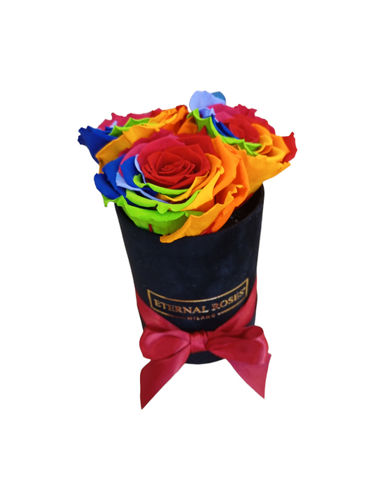 Box Luxury Nero S - Rose Stabilizzate Rainbow