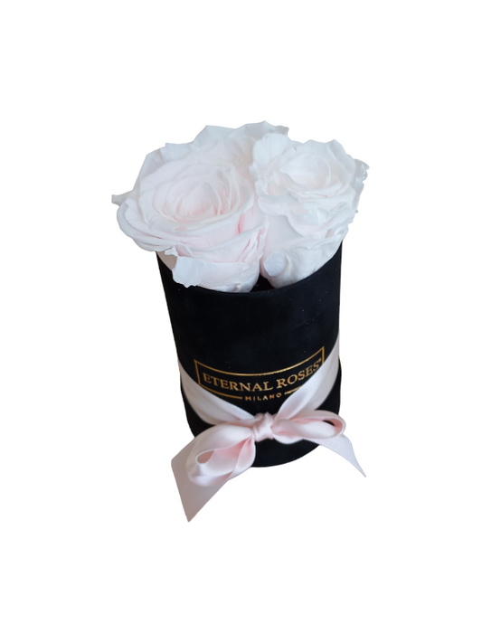 Box Luxury Nero S - Rose Stabilizzate Rosa Chiaro