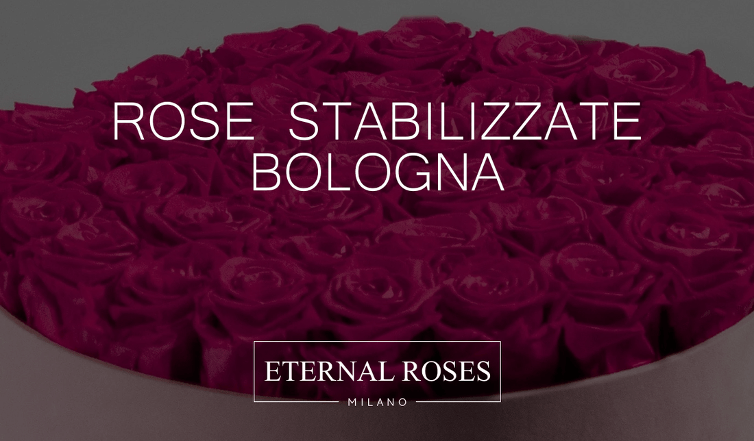 Rose Eterne Stabilizzate a Bologna