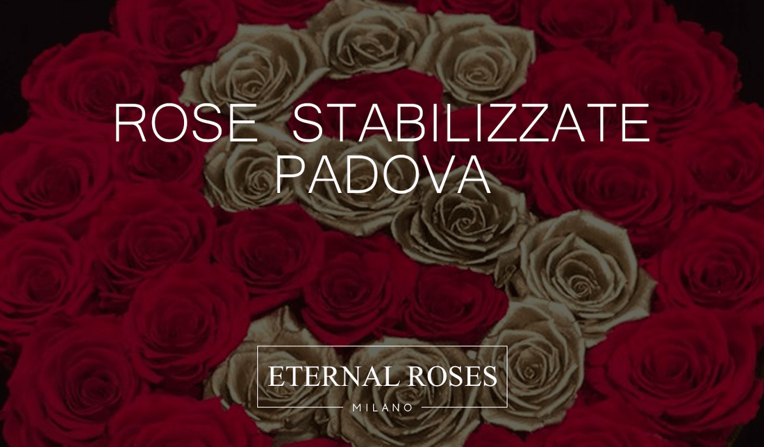 Rose Eterne Stabilizzate a Padova - Consegna a domicilio