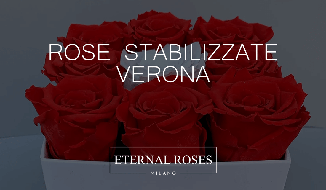 Rose Eterne Stabilizzate a Verona