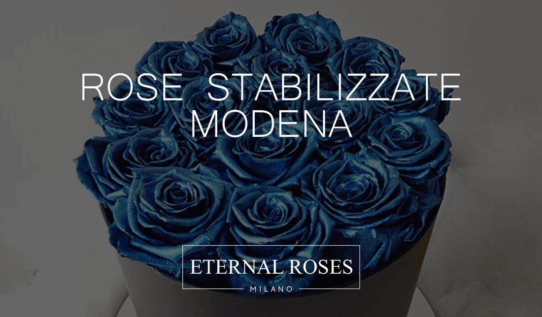 Rose Eterne Stabilizzate a Modena