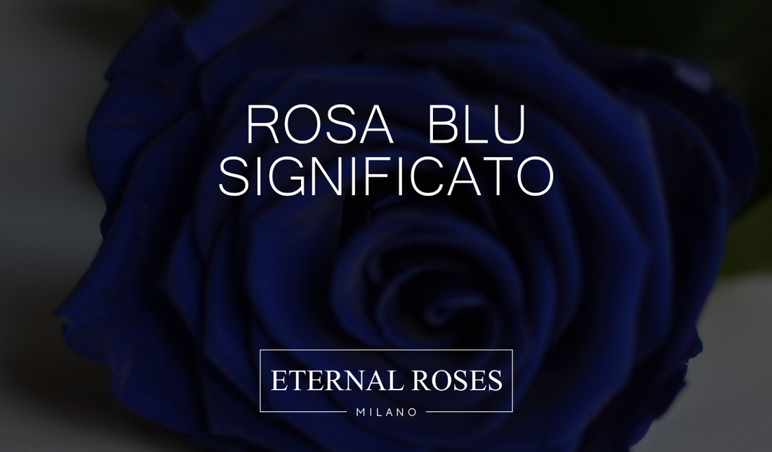 Rosa Eterna Stabilizzata Blu