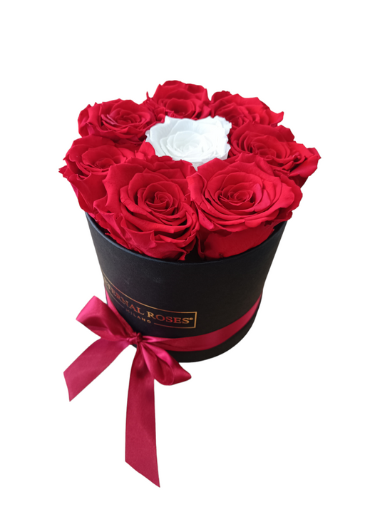 Black Box M – Konservierte rote und weiße Rosen