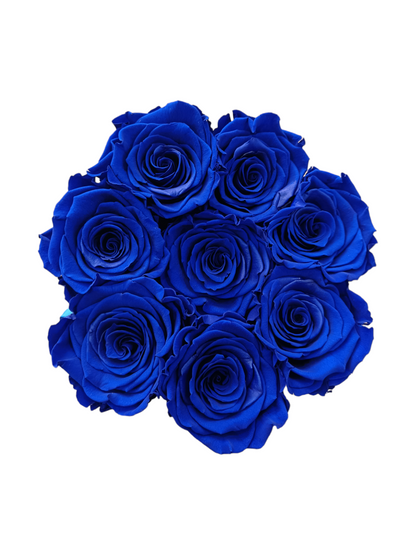 White Box M – Stabilisierte blaue Rosen