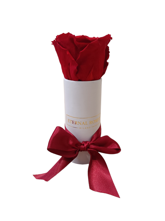 White Box XS – Stabilisierte rote Rose