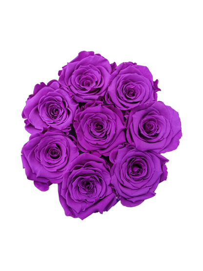 White Box M – Stabilisierte violette Rosen