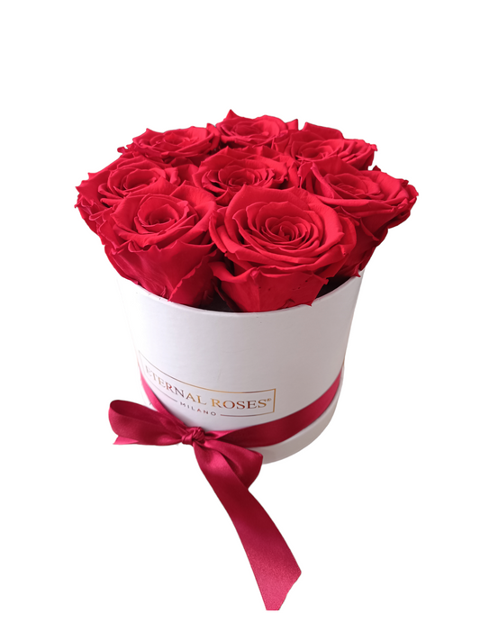 White Box M – Konservierte rote Rosen