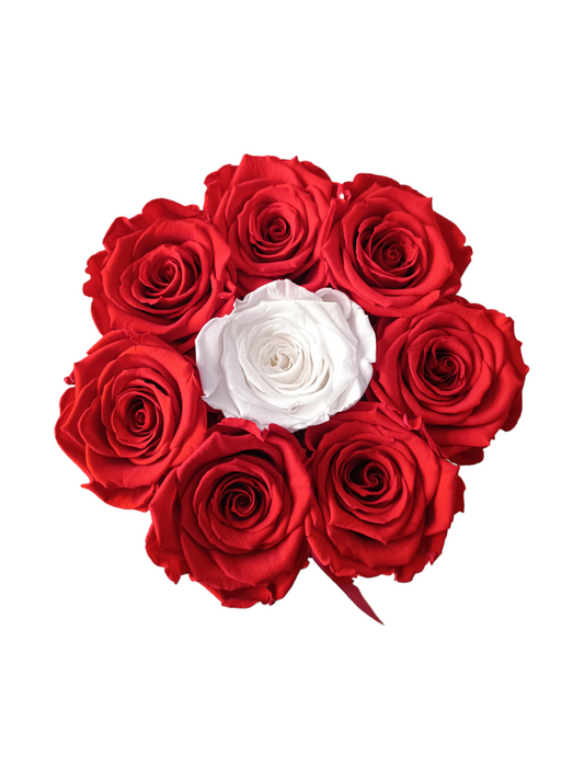 Box Luxury Black M – Konservierte rote und weiße Rosen