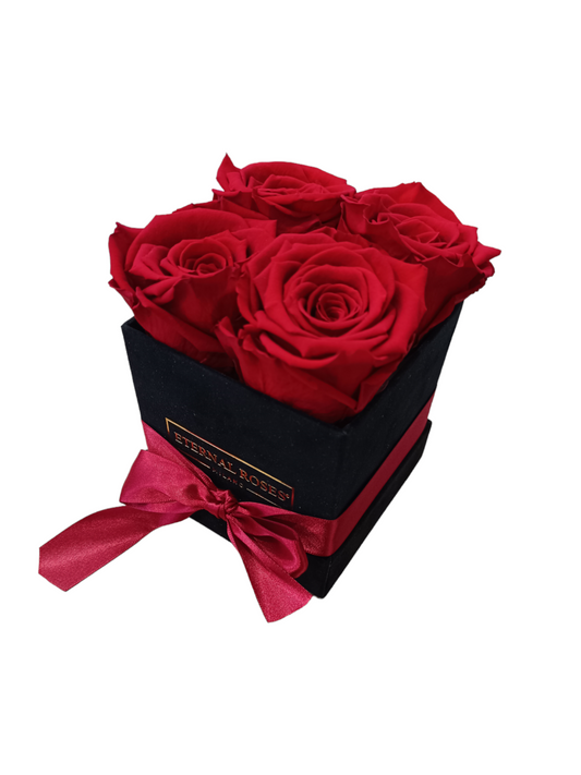 Box Luxury Square Black S - Stabilisierte rote Rosen