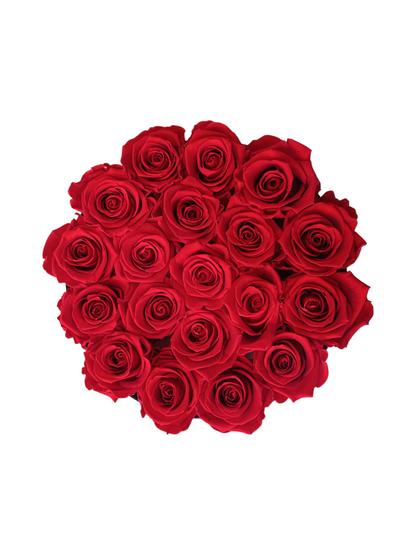 Weiße Box L – Konservierte rote Rosen