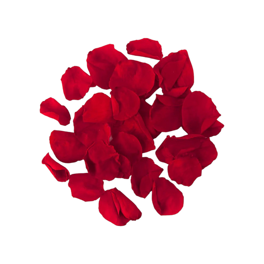Rote Rosenblätter – Stabilisierte natürliche Blütenblätter