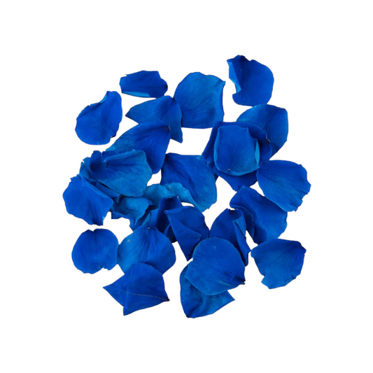 Blaue Rosenblätter – Stabilisierte natürliche Blütenblätter