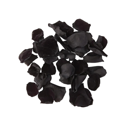 Schwarze Rosenblätter – Stabilisierte natürliche Blütenblätter