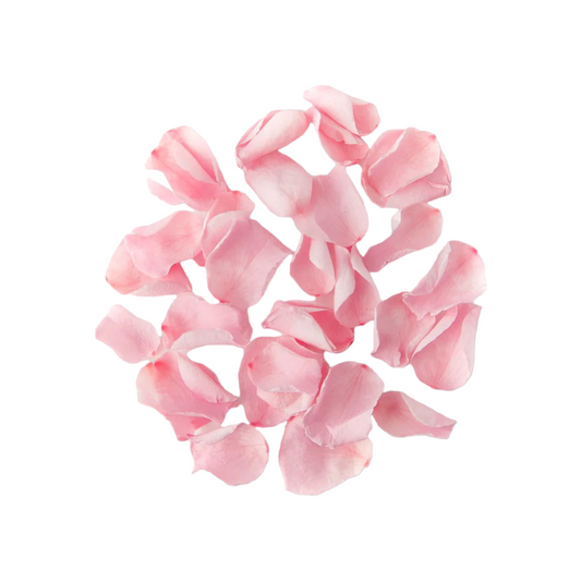 Rosa Rosenblätter – Stabilisierte natürliche Blütenblätter