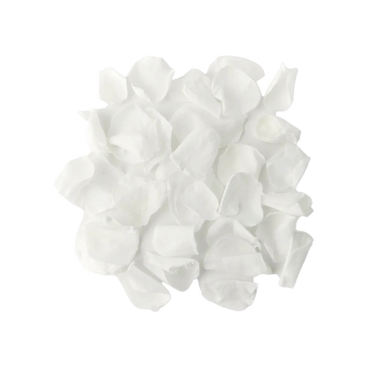 Weiße Rosenblätter – Stabilisierte natürliche Blütenblätter