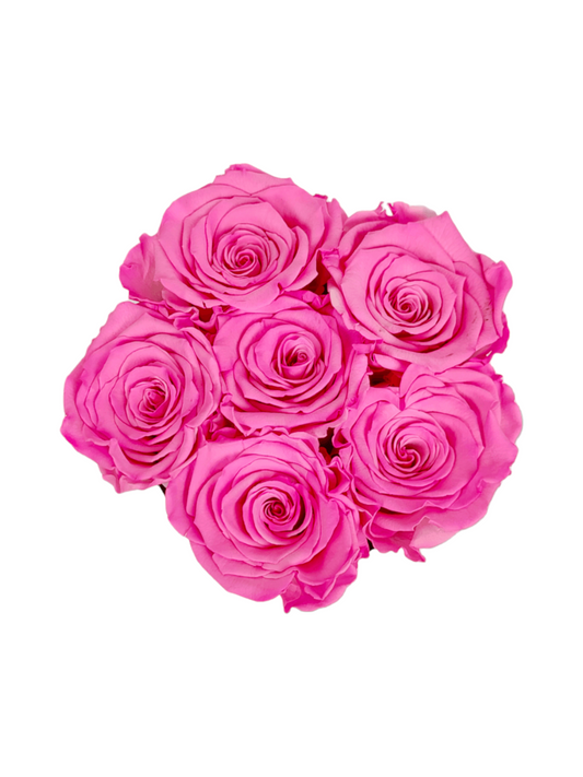 Neugeborenes Mädchen Box S - Konservierte Eternity Roses Pink XL