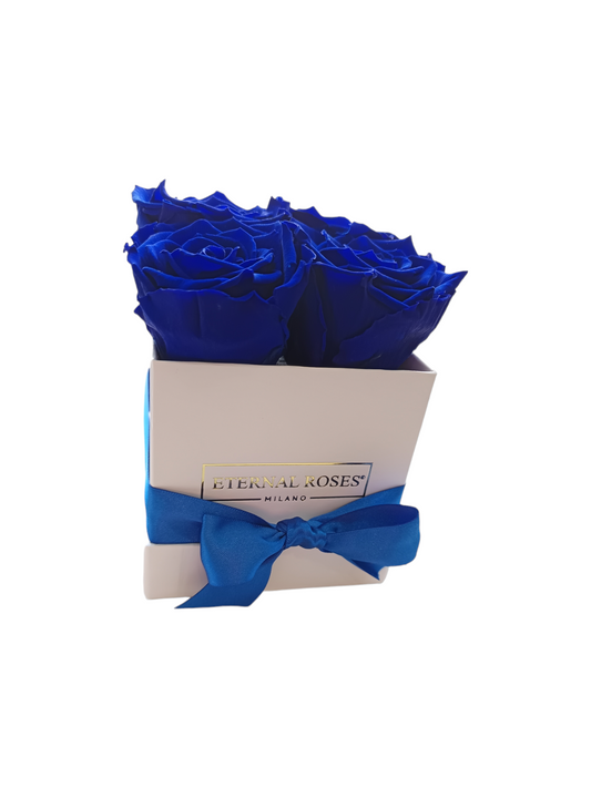 Box Square White S - Stabilisierte blaue Rosen