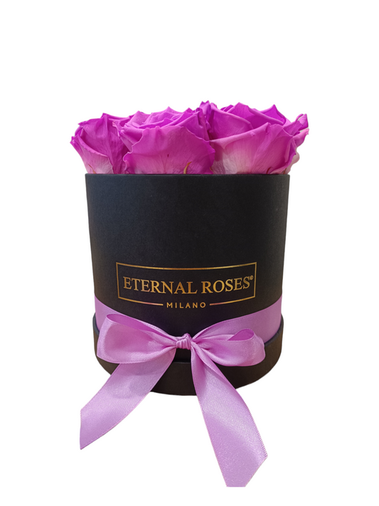 Black Box M – Stabilisierte violette Rosen