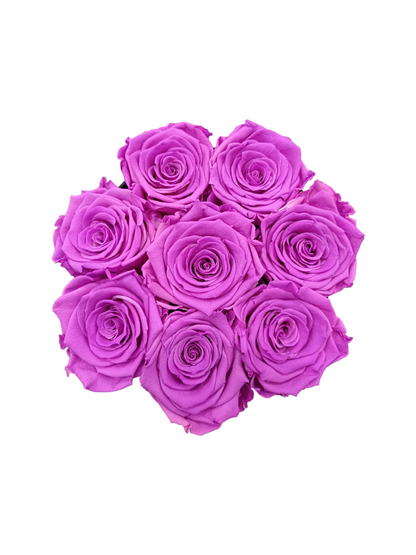Black Box M – Stabilisierte violette Rosen