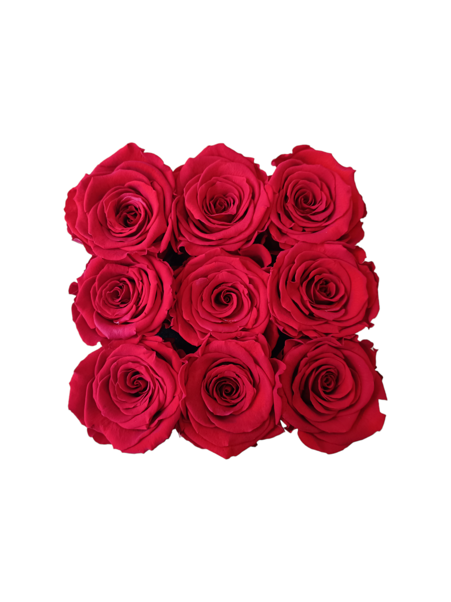 Box Square Black M - Stabilisierte rote Rosen