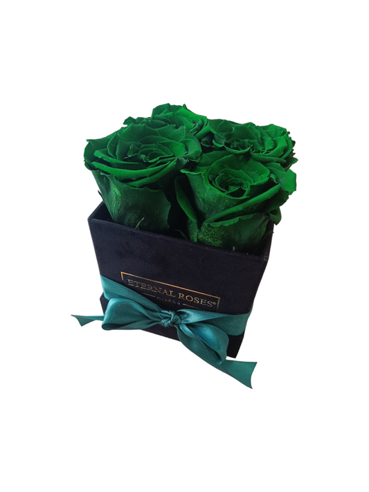 Box Luxury Square Black S - Grüne stabilisierte Rosen