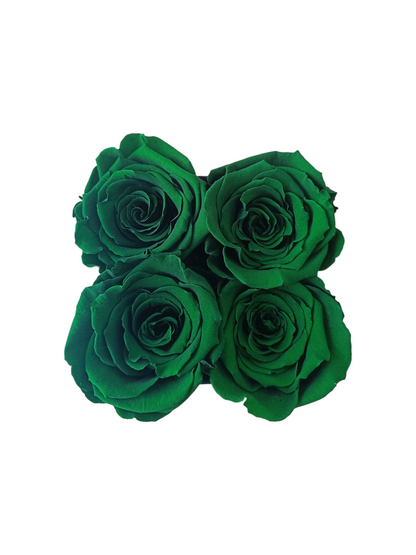 Box Luxury Square Black S - Grüne stabilisierte Rosen