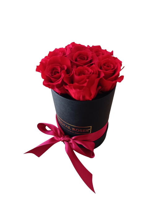 Black Box S – Konservierte rote Rosen