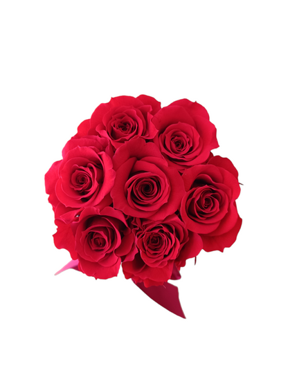 Black Box S – Konservierte rote Rosen