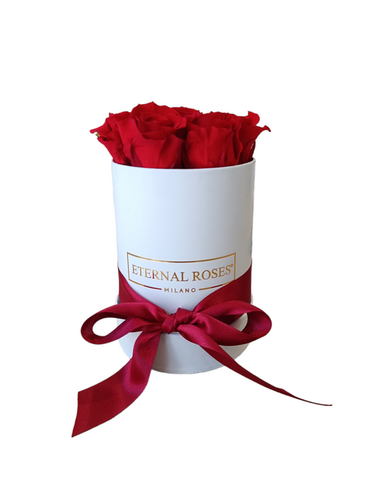 White Box S – Konservierte rote Rosen