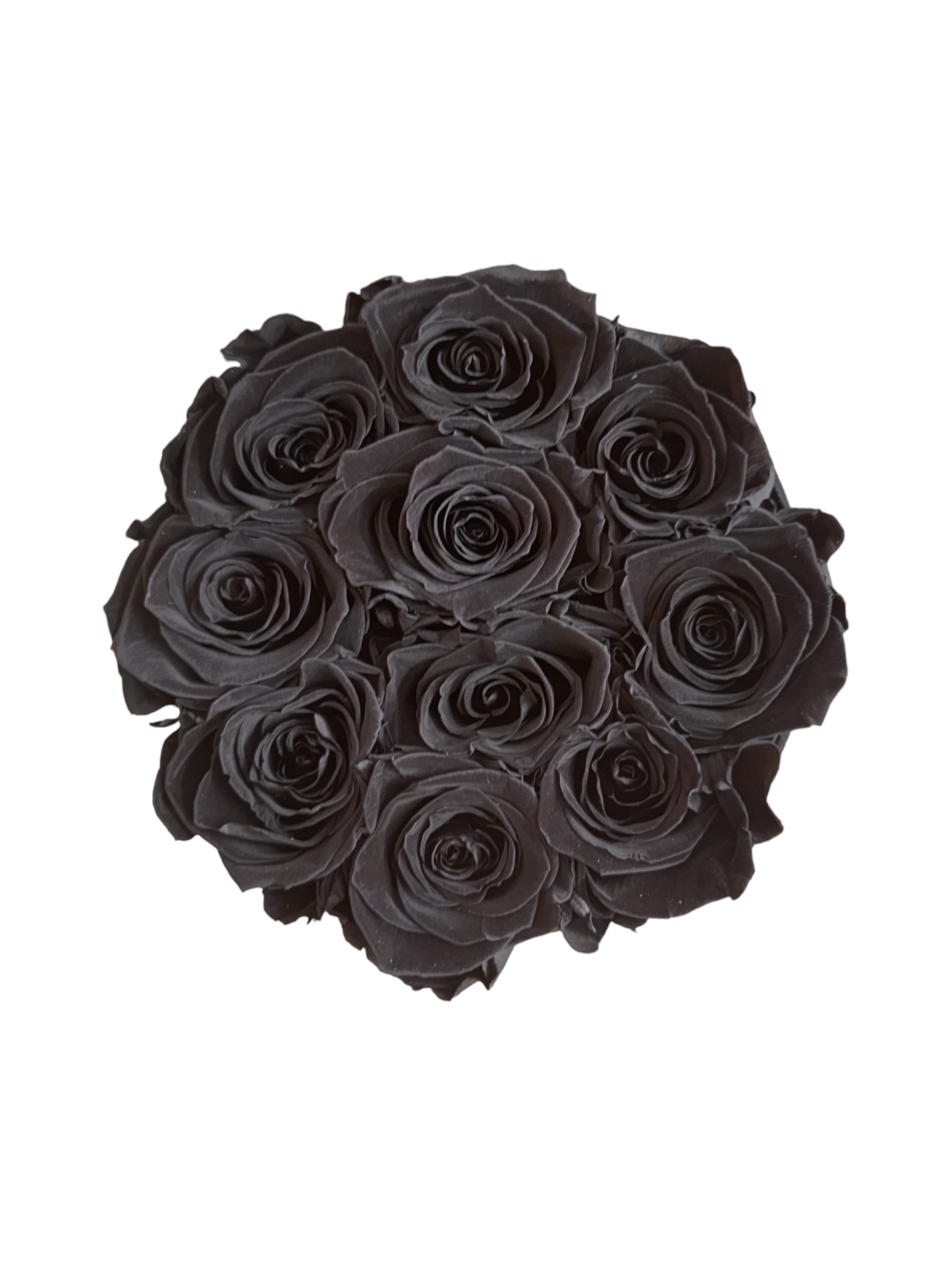 Box Luxury Black M - Schwarze stabilisierte Rosen