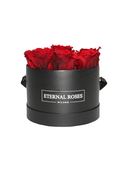 Konservierte Eternity Dark Red Roses XL - Black Box M